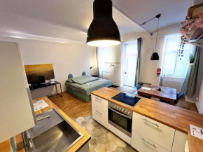 Spacious 2 Bedroom Loft with courtyard - city centre